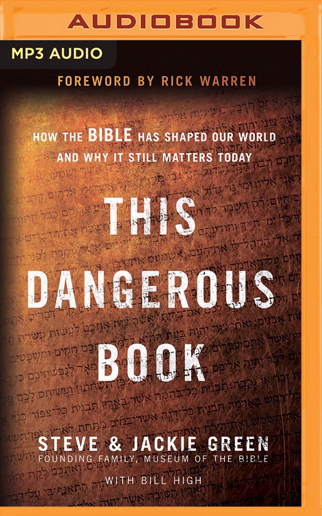 Read more about the article This Dangerous Book