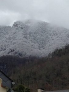 Pyrenees 