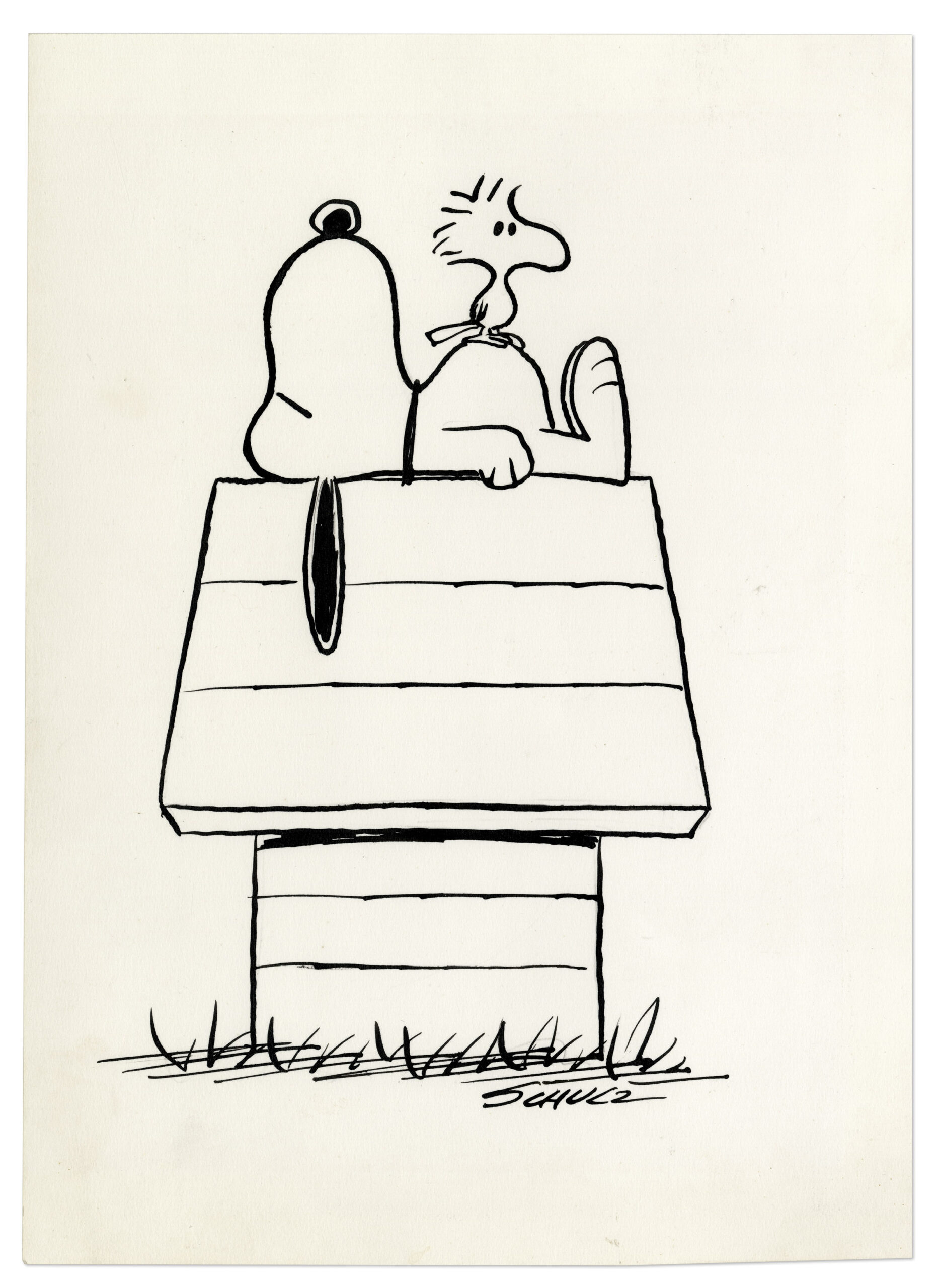 Read more about the article Snoopy