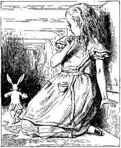 alice follows white rabbit